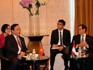 National Assembly Vice Chairman visits Indonesia - ảnh 1